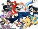 Bleach