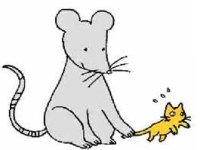 Português - Rato e gato